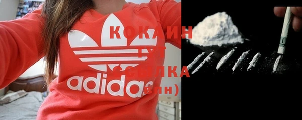 мяу мяу кристалл Корсаков