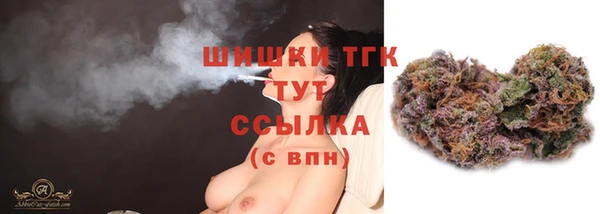 мяу мяу кристалл Корсаков