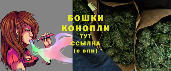 мяу мяу кристалл Корсаков