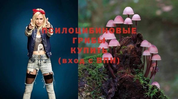 мяу мяу кристалл Корсаков