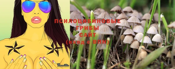 гашиш Козельск